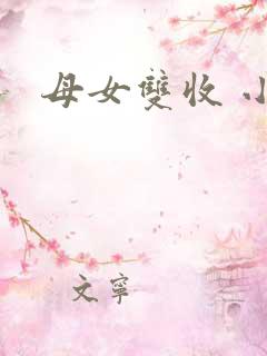 母女双收 小说