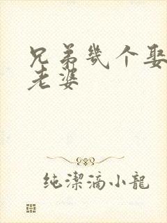 兄弟几个娶一个老婆