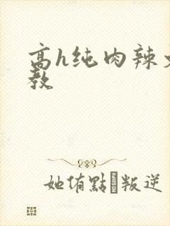 高h纯肉辣文调教