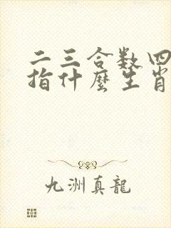 二三合数四五还指什么生肖