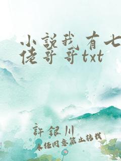 小说我有七个大佬哥哥txt