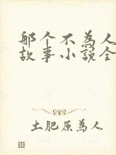 那个不为人知的故事小说全文免费阅读免费