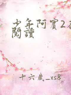 少年阿宾2在线阅读