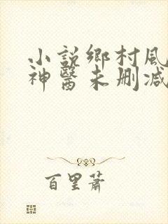 小说乡村风流小神医未删减版