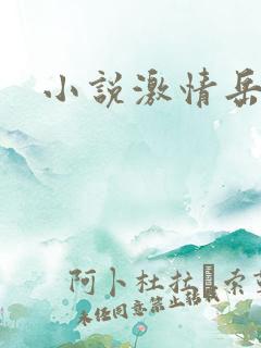 小说激情岳母