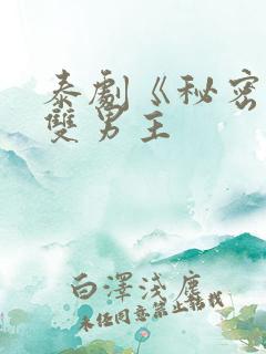 泰剧《秘密爱》双男主