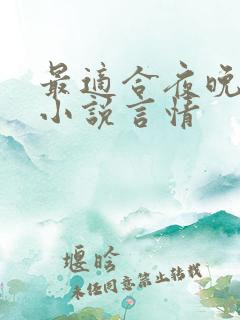 最适合夜晚看的小说言情