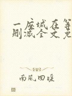 一座城在等你无删减全文免费阅读