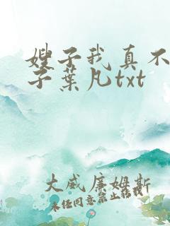 嫂子我真不是傻子叶凡txt