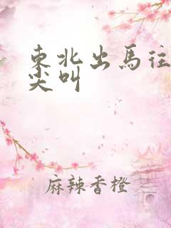 东北出马往事 尖叫