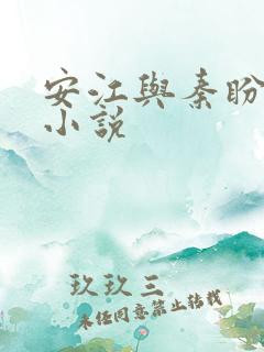 安江与秦盼儿的小说