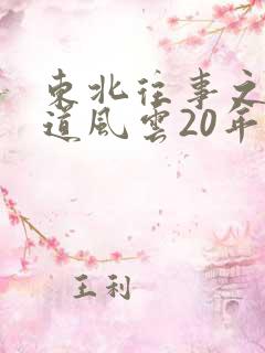 东北往事之 黑道风云20年