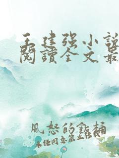 王建强小说免费阅读全文最新章节