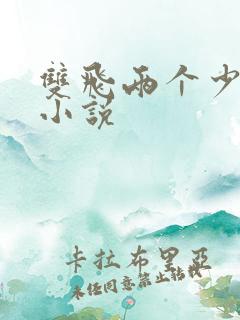 双飞两个少妇的小说