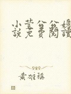 小莹公公媳妇小说免费阅读
