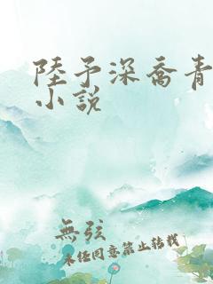 陆予深乔青穗的小说