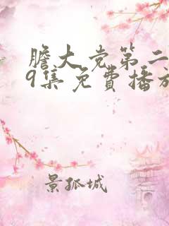 胆大党第二季第9集免费播放