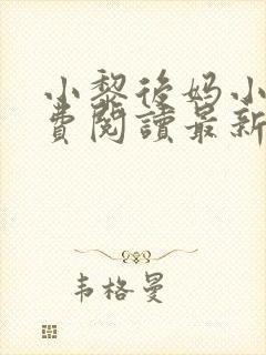 小黎后妈小说免费阅读最新章节更新