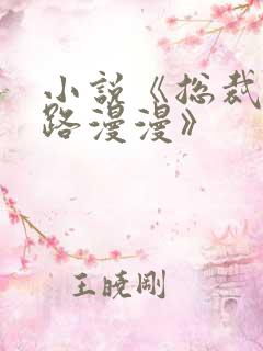 小说《总裁追妻路漫漫》