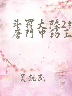 斗罗大陆2绝世唐门中的王冬