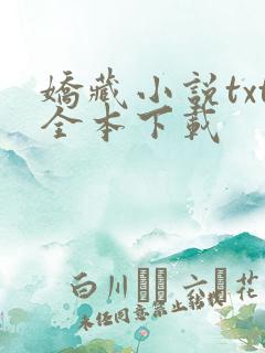 娇藏小说txt全本下载