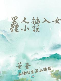 男人插入女人下体小说