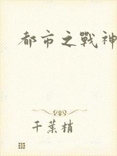 都市之战神林北