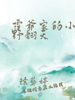 霍爷家的小祖宗野翻天