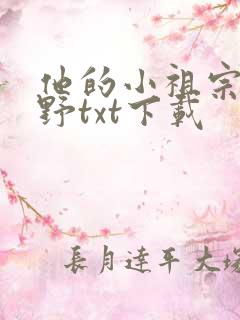 他的小祖宗甜又野txt下载