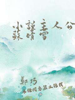 小说主人公陈阳苏晴雪