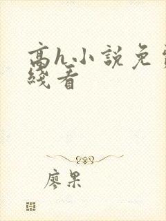 高h小说免费在线看