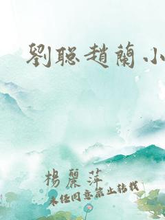 刘聪赵兰小说