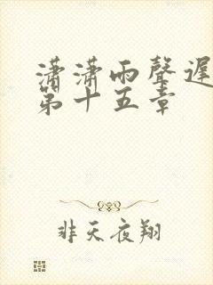 潇潇雨声迟小说第十五章