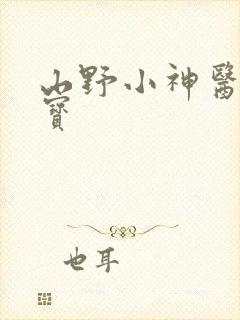山野小神医赵大宝