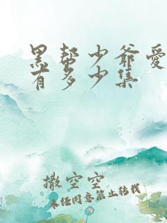黑帮少爷爱上我有多少集