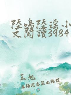 陆鸣陆瑶小说全文阅读3984章