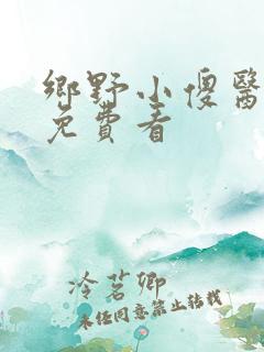 乡野小傻医小说免费看