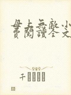 母上无敌小说免费阅读全文最新章节