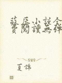 苏辰小说全文免费阅读无弹窗