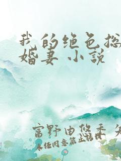 我的绝色总裁未婚妻 小说
