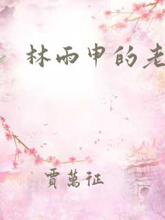 林雨申的老婆