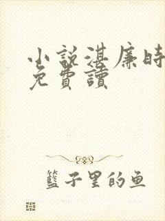 小说湛廉时林帘免费读