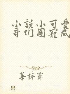 小说小可爱被哥哥们团宠成了大佬