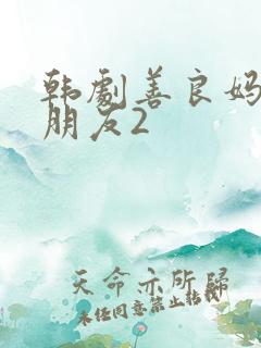 韩剧善良妈妈的朋友2