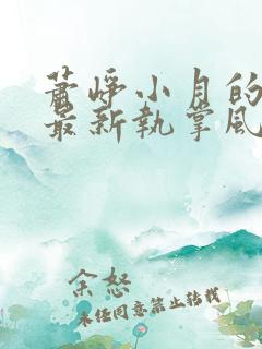 萧峥小月的小说最新执掌风云