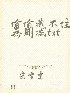 偷偷藏不住番外无删减txt