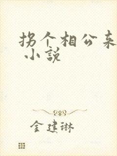 拐个相公来种田 小说