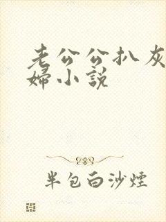 老公公扒灰儿媳妇小说