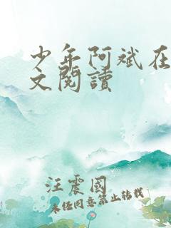 少年阿斌在线全文阅读