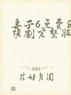 妻子6免费的电视剧完整版韩剧网